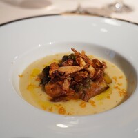 フォリオリーナ・デッラ・ポルタ・フォルトゥーナ - 