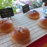 バルバ　ロッソ - 