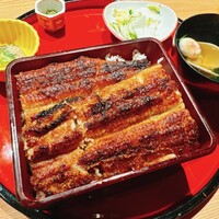 炭焼 うな富士 有楽町店 - 