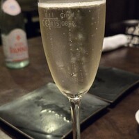 オッジ ダルマット 西麻布店 - 