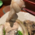 ごっつおやふく美味 - 