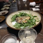 デンクシフロリ - 