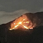 ドゥフィーユ - 