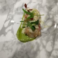 GINTO 池袋店 - 湧別帆立とアボガドのヴェール