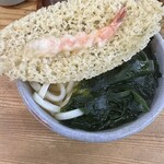 手打うどん 渡辺 - 天ぷらうどん中