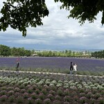 ファーム富田 - 