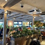 コナズ珈琲 - 広々とした店内