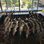 揖斐川丘苑 - 見事な鮎と庭園