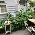 Sajilo Cafe Forest - 