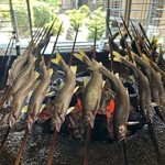 揖斐川丘苑 - 見事な鮎たち