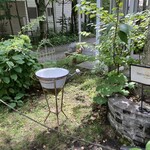 Sajilo Cafe Forest - 