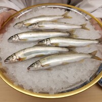 道人 - .....七品目.....上桂川のあゆ.....