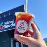 Mirai Seeds Specialty Coffees - 