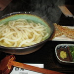 讃岐うどん 白庵 - あつあつ・ちく天セット　2014・4