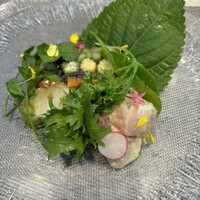 イリエスケープ - 