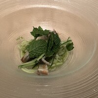 SCALAE - 