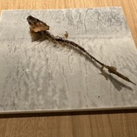 SCALAE - 