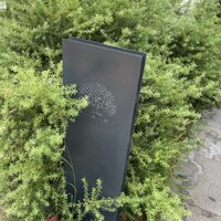 レストラン 花の木 - 