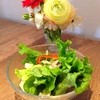カフェ クノップゥ カフェ クノップゥ