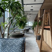 BLUE YARD - 