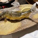 寒の地獄温泉 - 