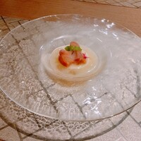 ヴィヴァッカス - 