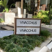 ヴィヴァッカス - 