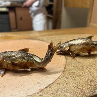 赤坂 菊乃井 - 鮎　可哀想だけど可愛くて美味