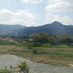 ブルージャム - 