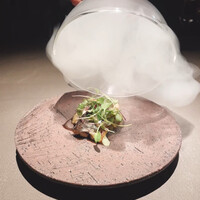 YANAGI TePPaN UNBORN GASTRONOMY - 