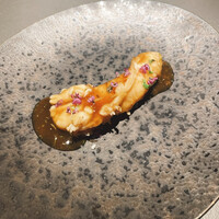 YANAGI TePPaN UNBORN GASTRONOMY - 