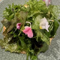 ミ・カサ - 