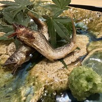 鮨ひろ瀬 - 