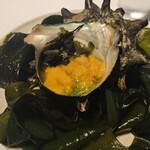 レフェルヴェソンス - 