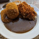 Curry House CoCo ICHIBANYA - 