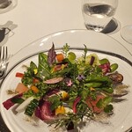 レフェルヴェソンス - 