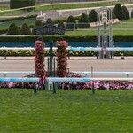 ゴールドシップ - 