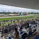 ゴールドシップ - 