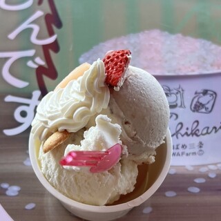 マルショウ田沢農園販売所_1