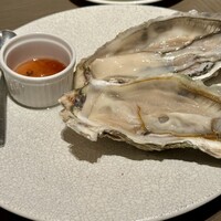 COLONIAL BEACH 横浜ハンマーヘッド - 