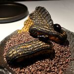 ラ・ヴァガボンド - 