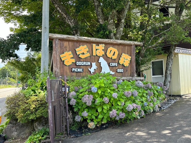 まきばの森 - 名鉄岐阜/肉料理 | 食べログ