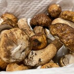 nacol - 新鮮　サマーポルチーニ