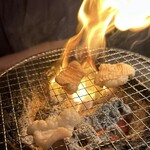 炭火焼肉 焼きしゃぶ にく式 - シマチョウ 
