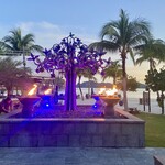 The St. Regis - お庭