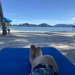 The St. Regis - のんびり