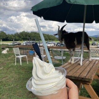 那須高原ジャージー農場_1