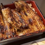 さくめ - 大（４１００）