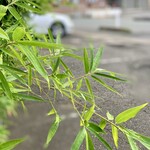 らー麺　Do・Ni・Bo - 奥にVW