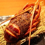 創作居酒屋 小樽 海風 - 【伊勢海老の焼き物】何と2,100円と言う破格でお楽しみ頂けます。